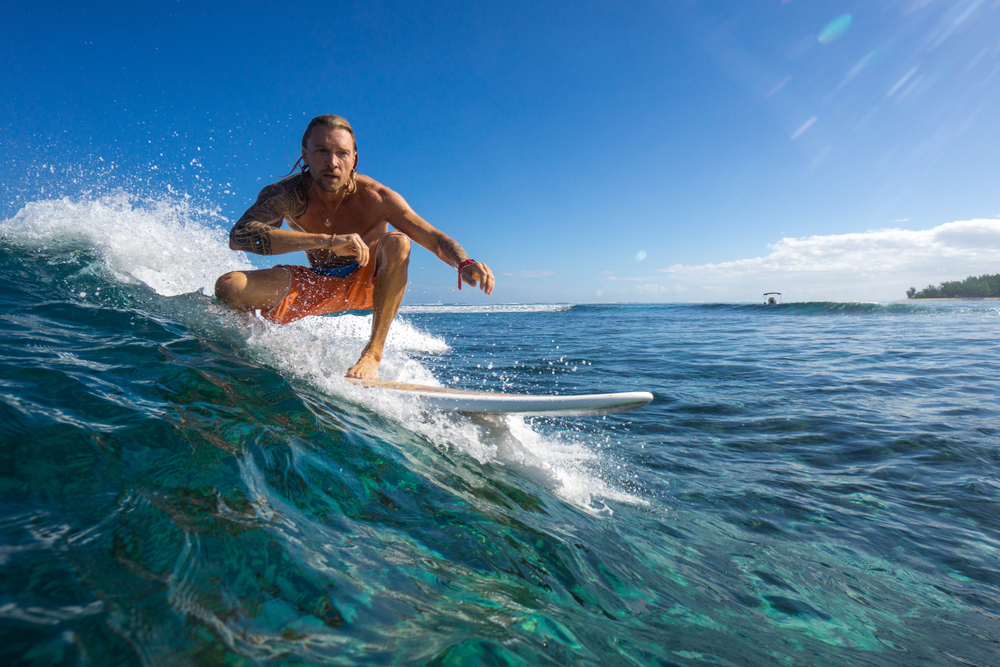 Surf Australie : faut-il craindre les requins ?