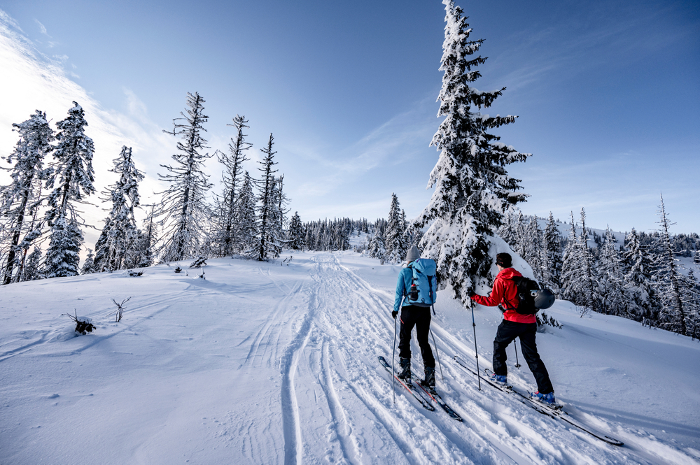 Comment choisir des skis de fond classiques - grandeur et spécificités