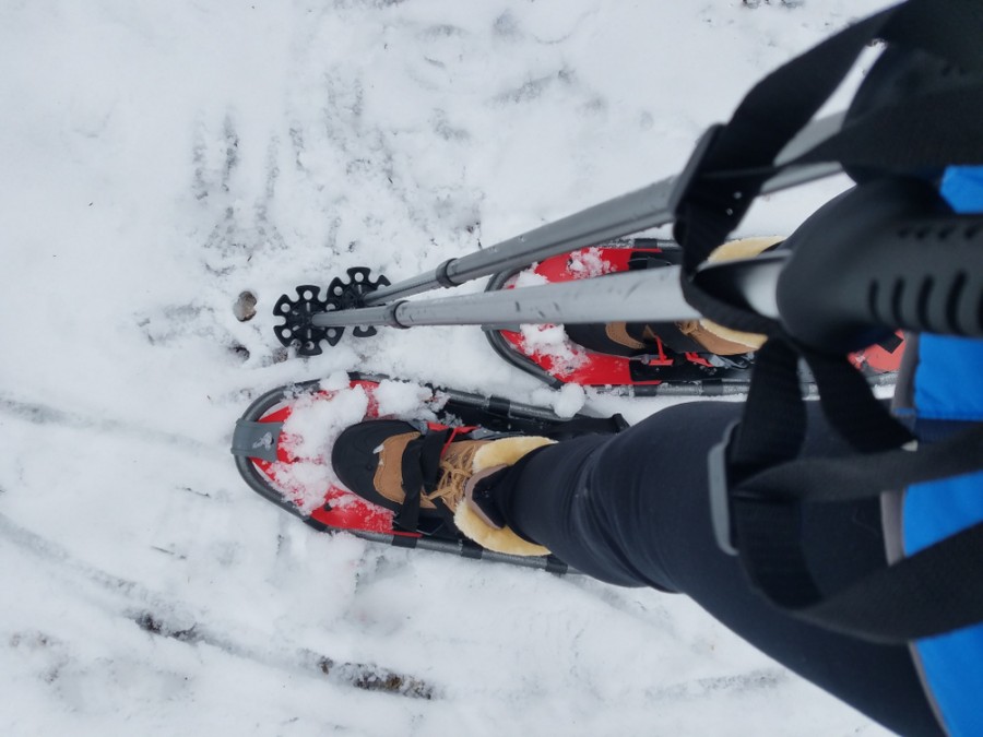 Comment choisir des raquettes de ski adaptées à ma pratique ?