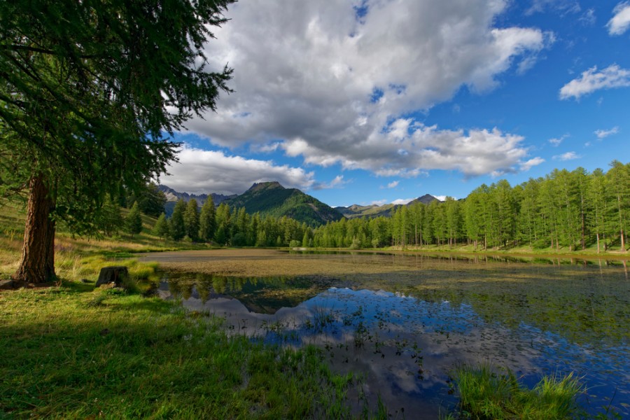 Découverte du Lac de Roue : un joyau caché à Arvieux