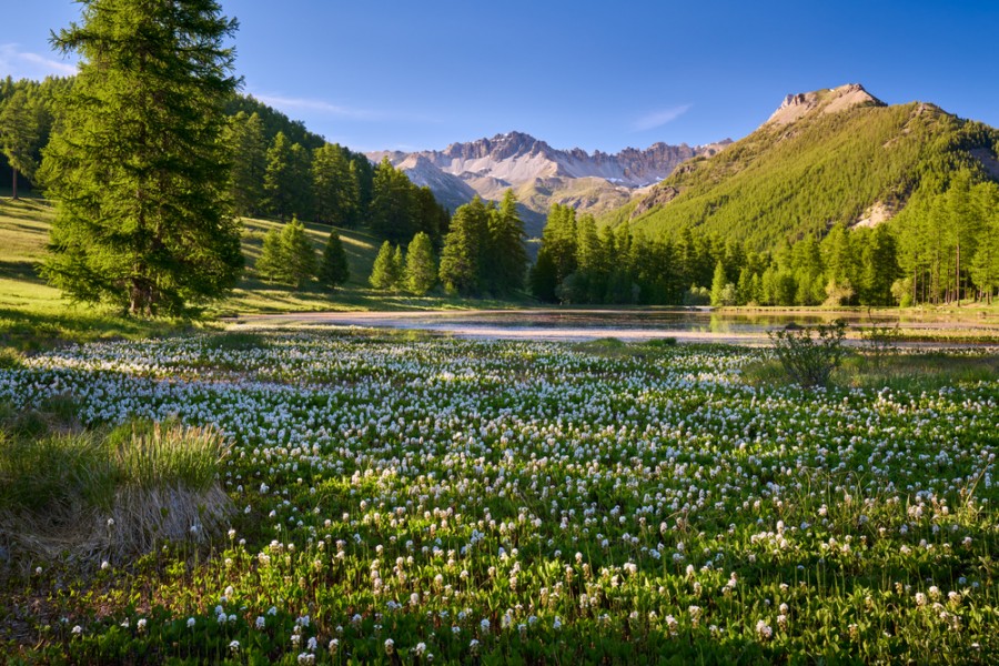 Quelle est la taille du lac de Roue à Arvieux ?