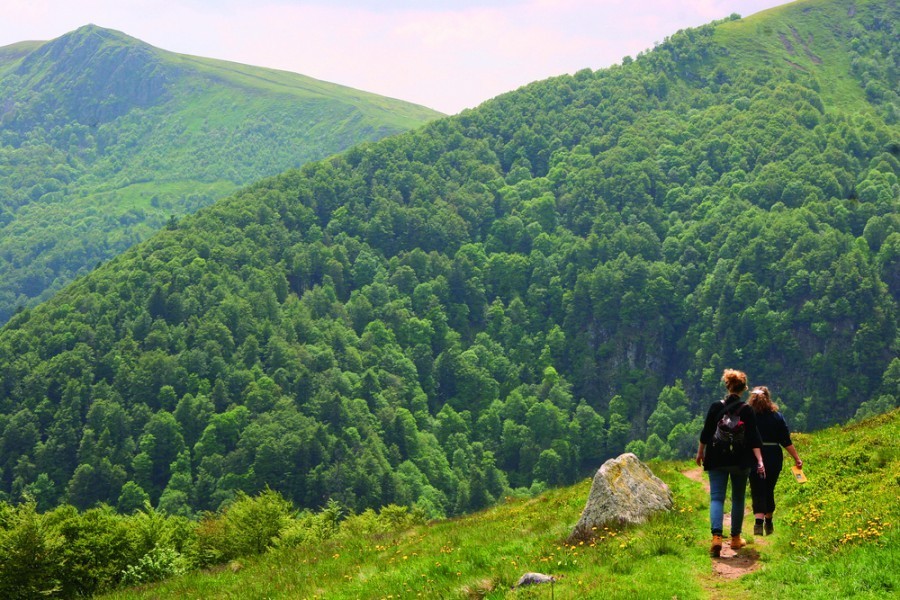 Quels sont les itinéraires de randonnée pour atteindre les sommets des Vosges ?