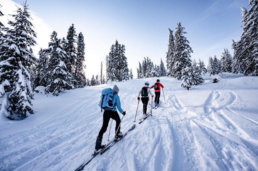 Ski de fond skating : quel équipement choisir ?