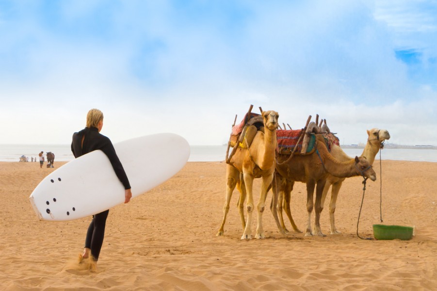 Surf au Maroc : ou aller pour surfer ?